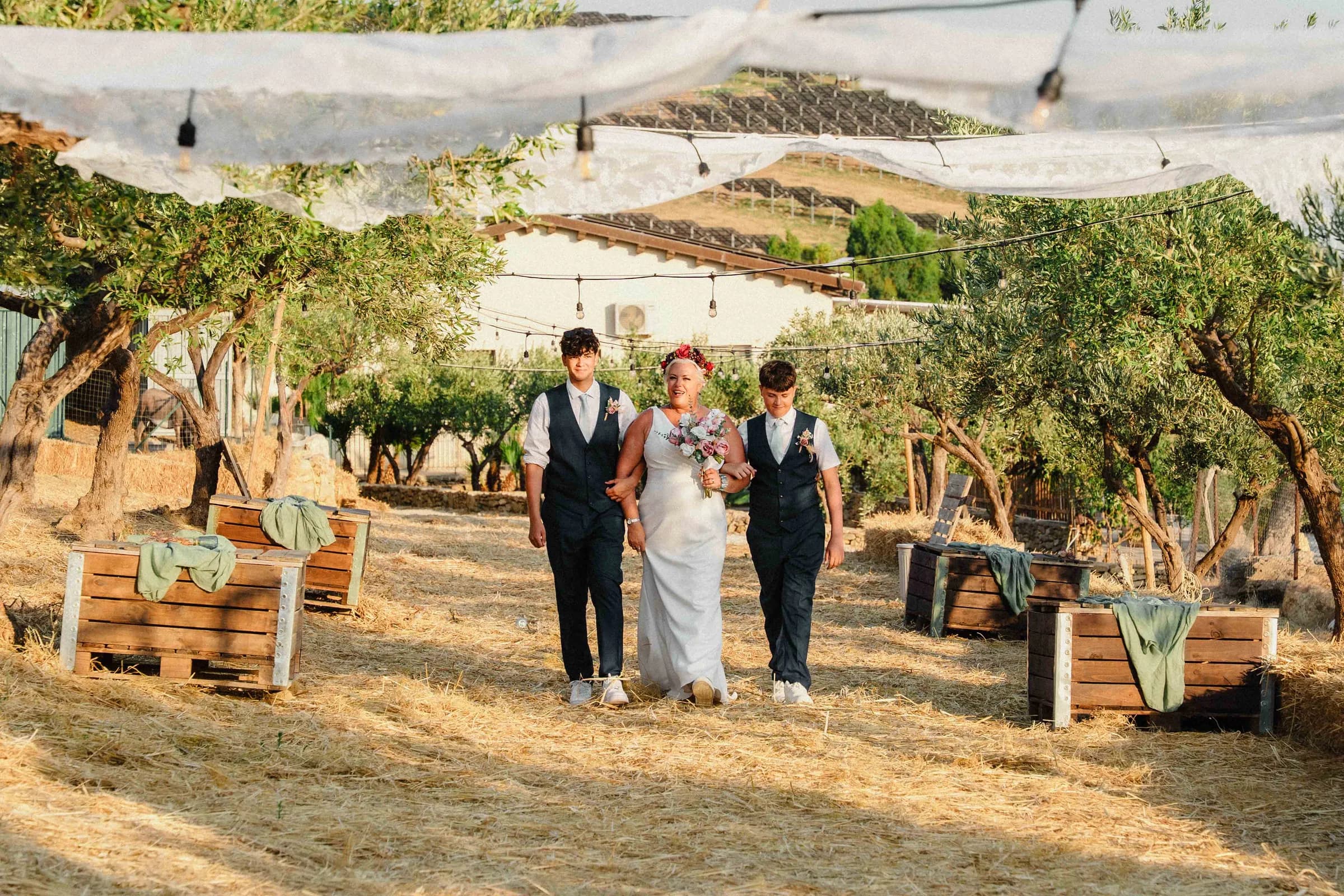 Arriving through the olive grove at Moresca Farm, lights strung overhead